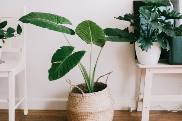 Площадка кракен kraken clear com