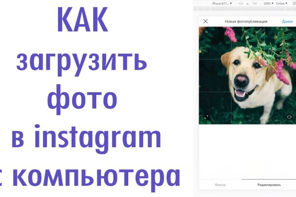 Ссылка кракен через тор